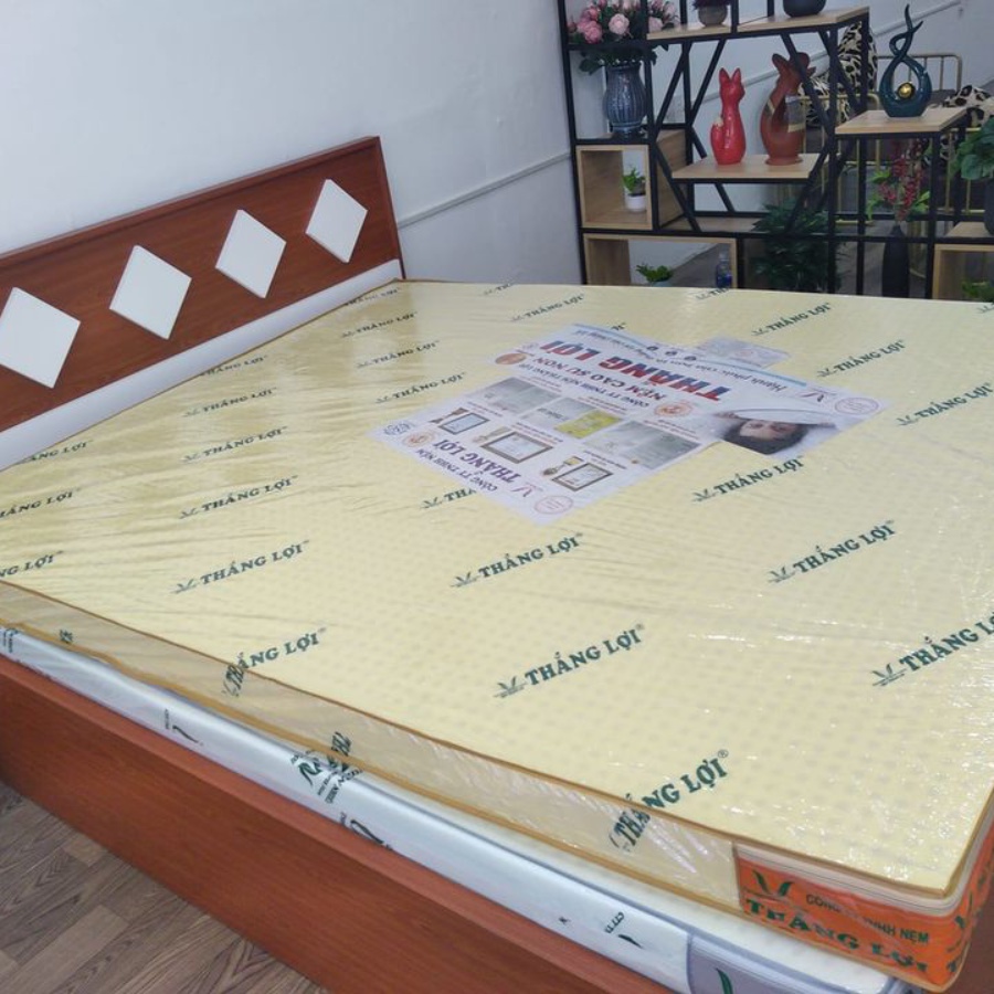 Nệm Cao Su Non Thắng Lợi foam thiên nhiên 10cm 15cm 20cm 1m 1m2 1m4 1m6 1m8 Bảo Hành 15 năm Đạt Thắng