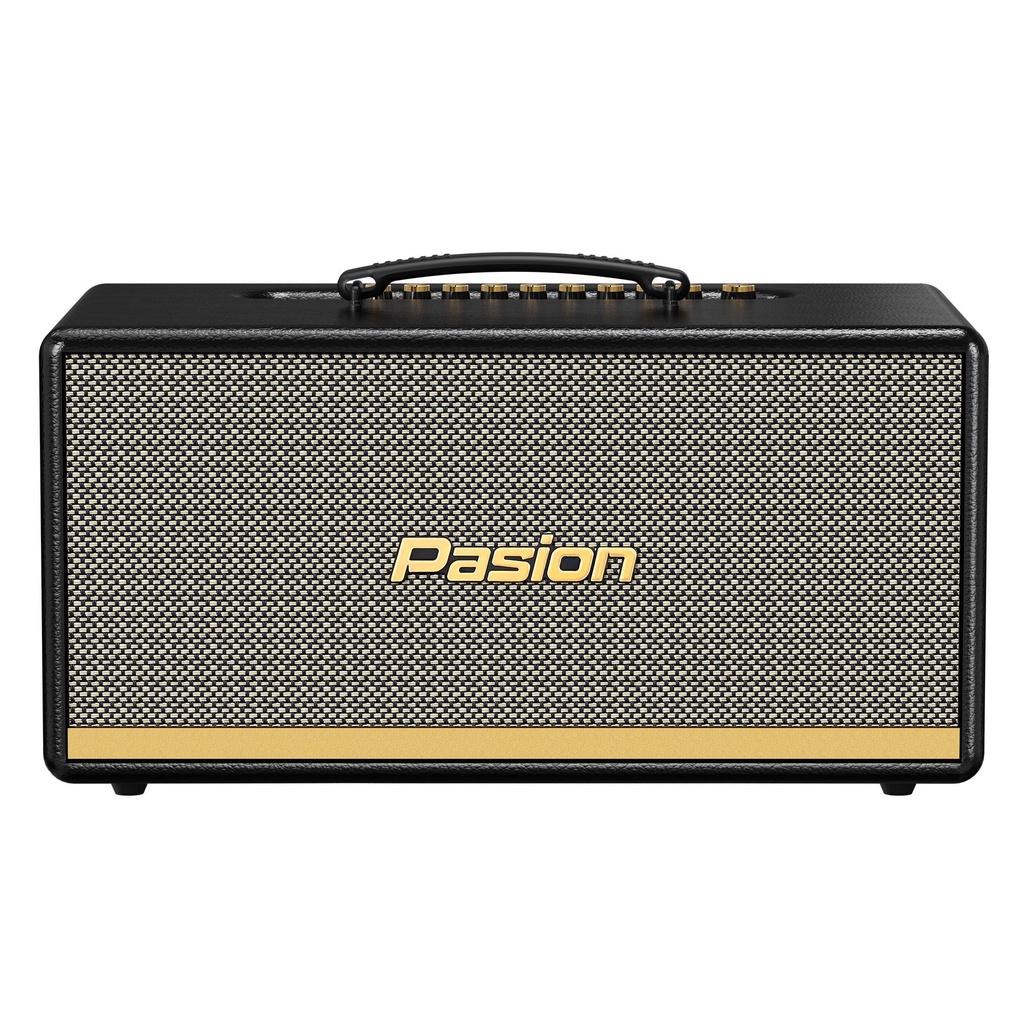 Loa karaoke Paramax Pasion, loa xách tay bluetooth công suất 400w