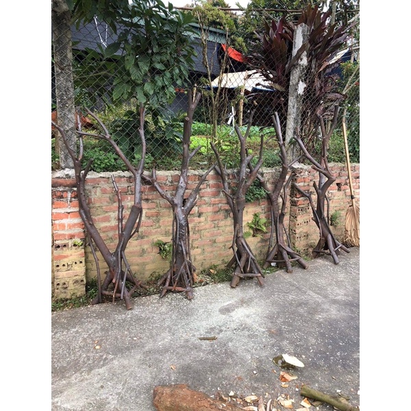 Cây Hoa giả trang trí