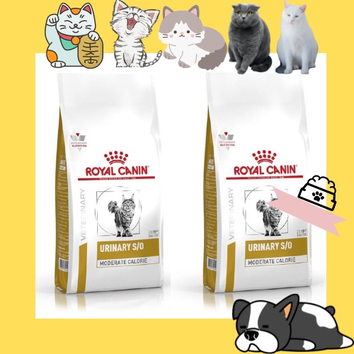 Thức ăn hạt cho mèo Royal Canin Urinary bịch 1,5 kg và túi share 400g
