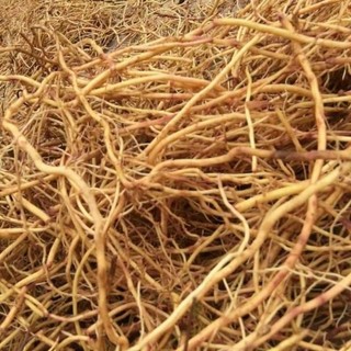 1kg Rễ Bạch hạc 1 nắng già sạch đẹp