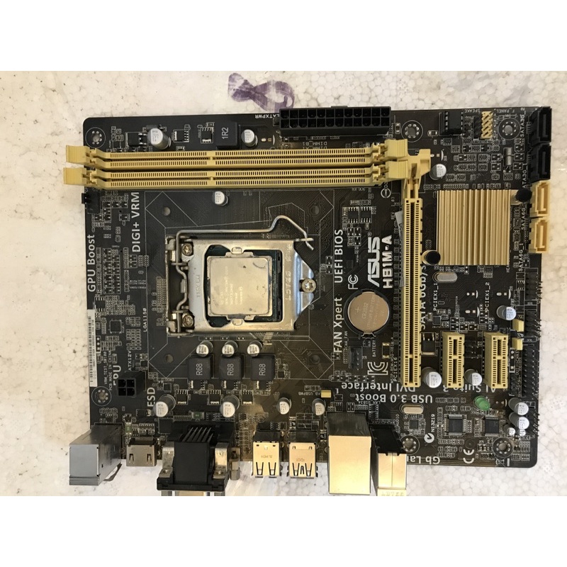 main asus h81