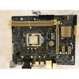 Main asus h81