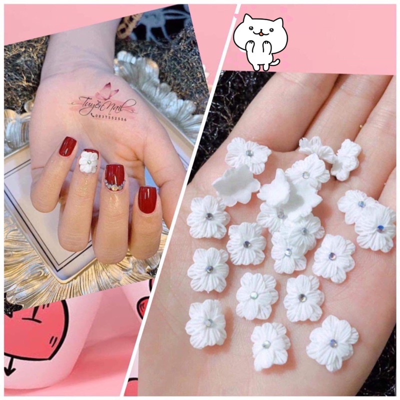 Hoa 8 Cánh Nhọn Ombre Nhuỵ Đá