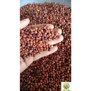 1kg Hạt đậu săng (đậu chiều)