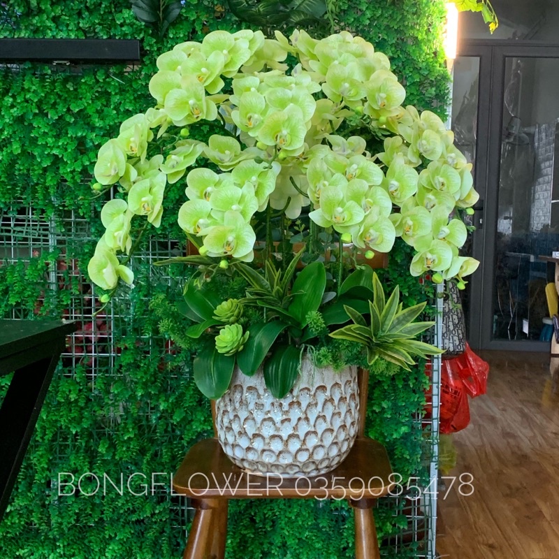 Chậu hoa lan giả chất liệu cao su cao cấp cao 80cm