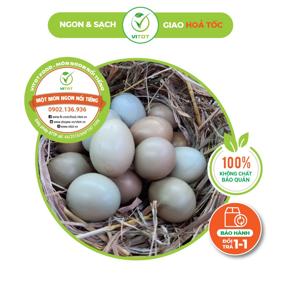 [Mã BMLTA50 giảm đến 50K đơn 99K] Trứng Chim Trĩ VITOT Rất Tốt Cho Sức Khỏe Đóng 10 Quả 1 Hộp