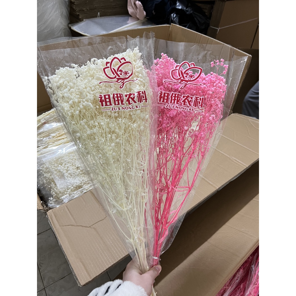 Hoa bi khô decor ❤️FREESHIP❤️ Hoa baby tím trang trí kệ phòng ngủ