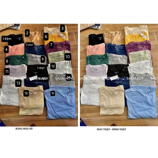 Áo Thun Pacsun Basic Unisex 10 Màu Trơn - 4076 (Màu 1-9)