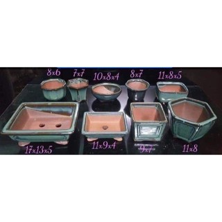  Combo 9 chậu bonsai cây cảnh sen đá mini màu xanh SP557 