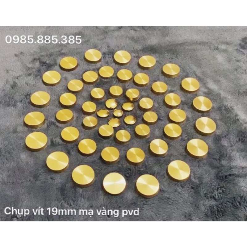 Bịch 50/100 chụp vít 19mm mạ vàng PVD cao cấp