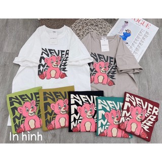 Áo gấu never chất cotton khô 3158 loại 1 form rộng túi zip