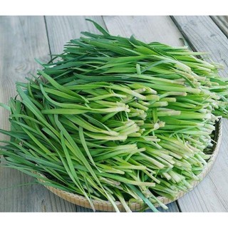 Hạt giống Cây Hẹ ta