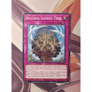 Thẻ bài yugioh: naturia sacred tree sdbt-en037