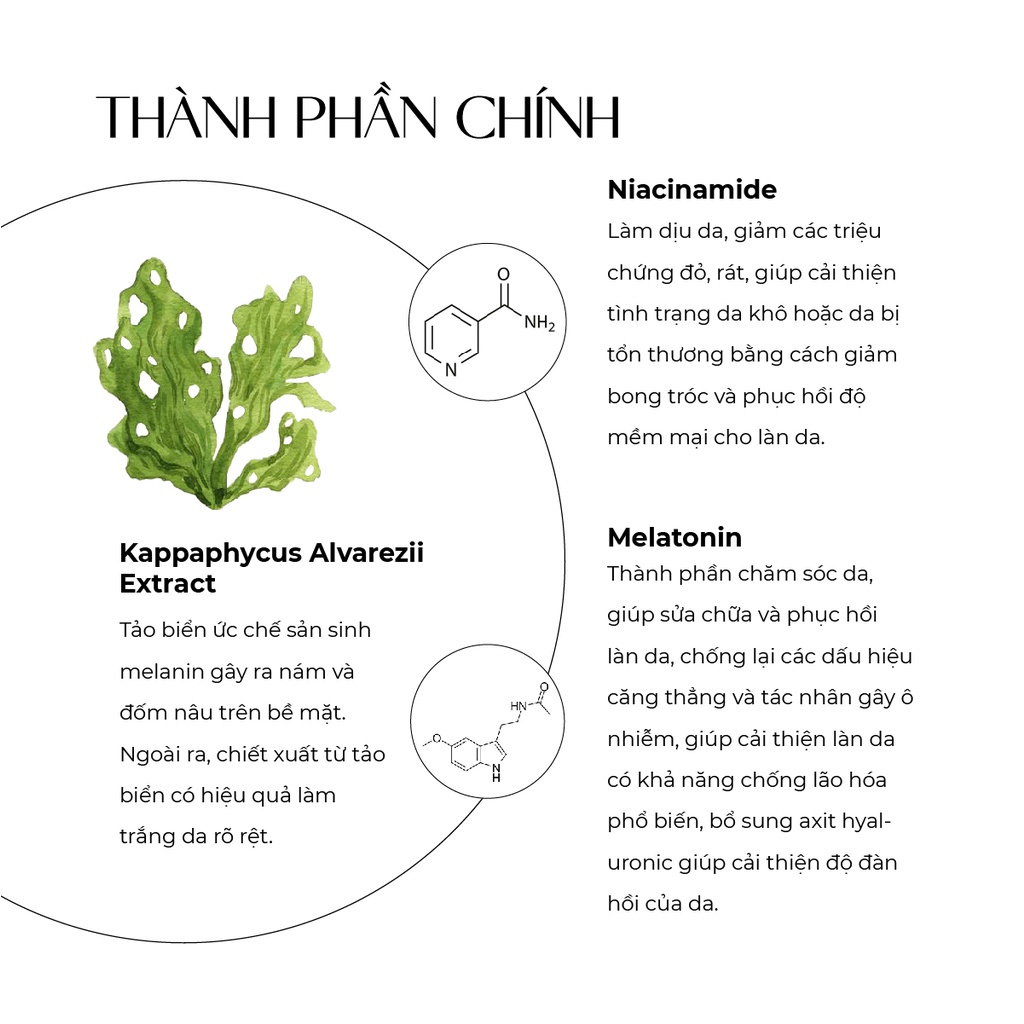 Kem nám và tàn nhang Truesky Melasma Cream chiết xuất tảo biển 20g - Truesky Việt Nam