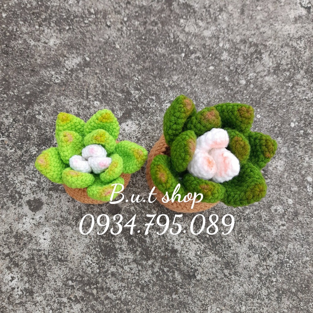 Chậu sen đá handmade mini - được làm từ len sợi