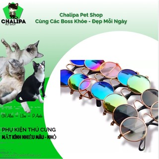Mắt kính thời trang cho thú cưng