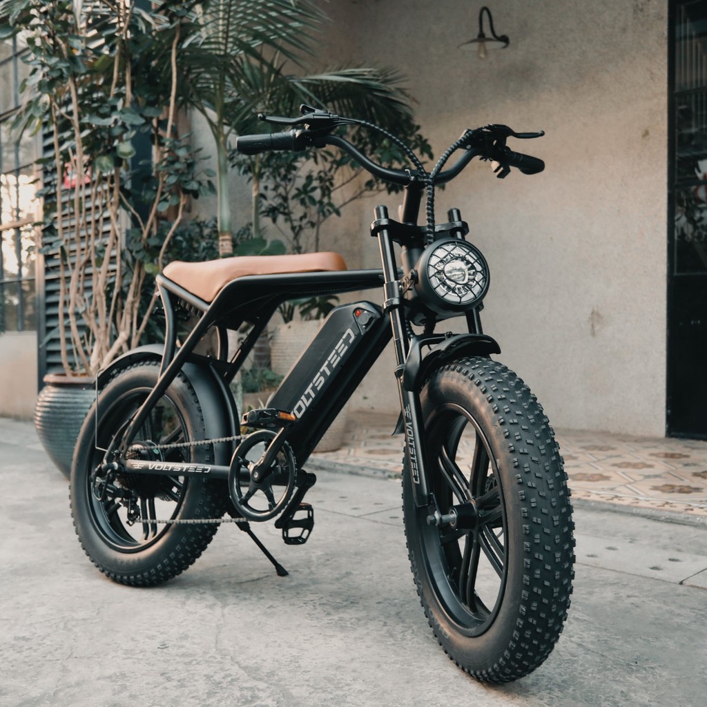 Xe đạp trợ lực điện BÁNH BÉO OUXI V8