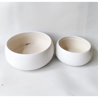 Chậu phi hạt dẻ trắng men, 3 size