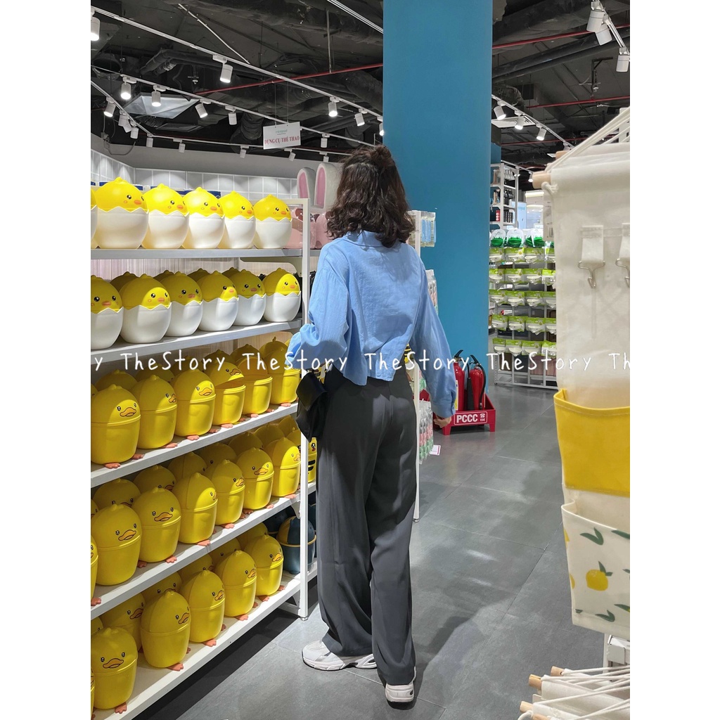 Áo sơ mi tay dài croptop  A2882