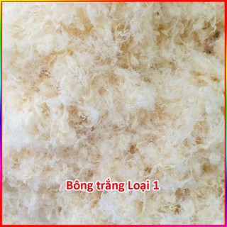 [ 500g ] Ruốc bông - chà bông cao cấp