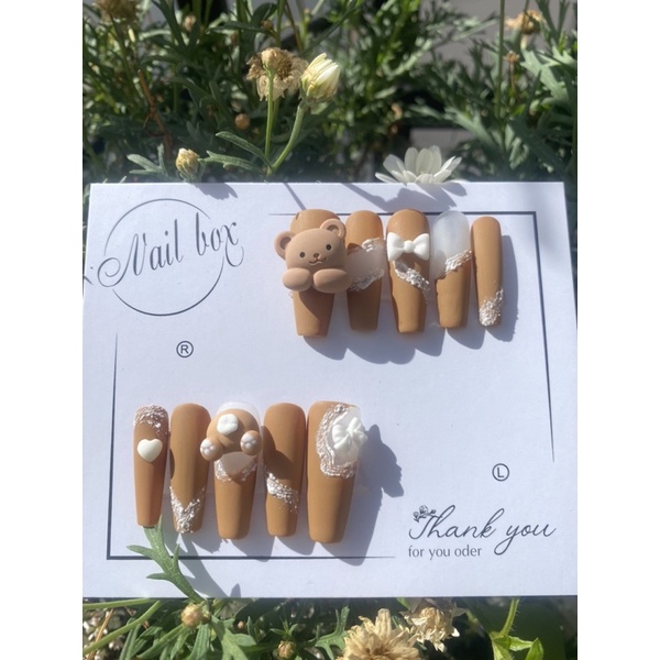Gấu nâu nailbox thiết kế
