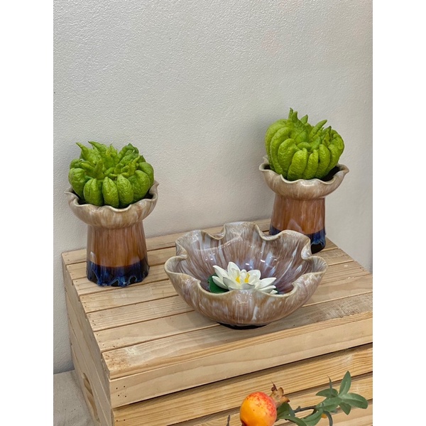 Ly phật thủ,cắm bưởi,bát thả hoa sứ kèm đế màu men hỏa biến Bát Tràng_Gốm sứ Bát Tràng