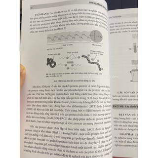 Sách Sinh học tế bào (Bài tập chuyên đề)