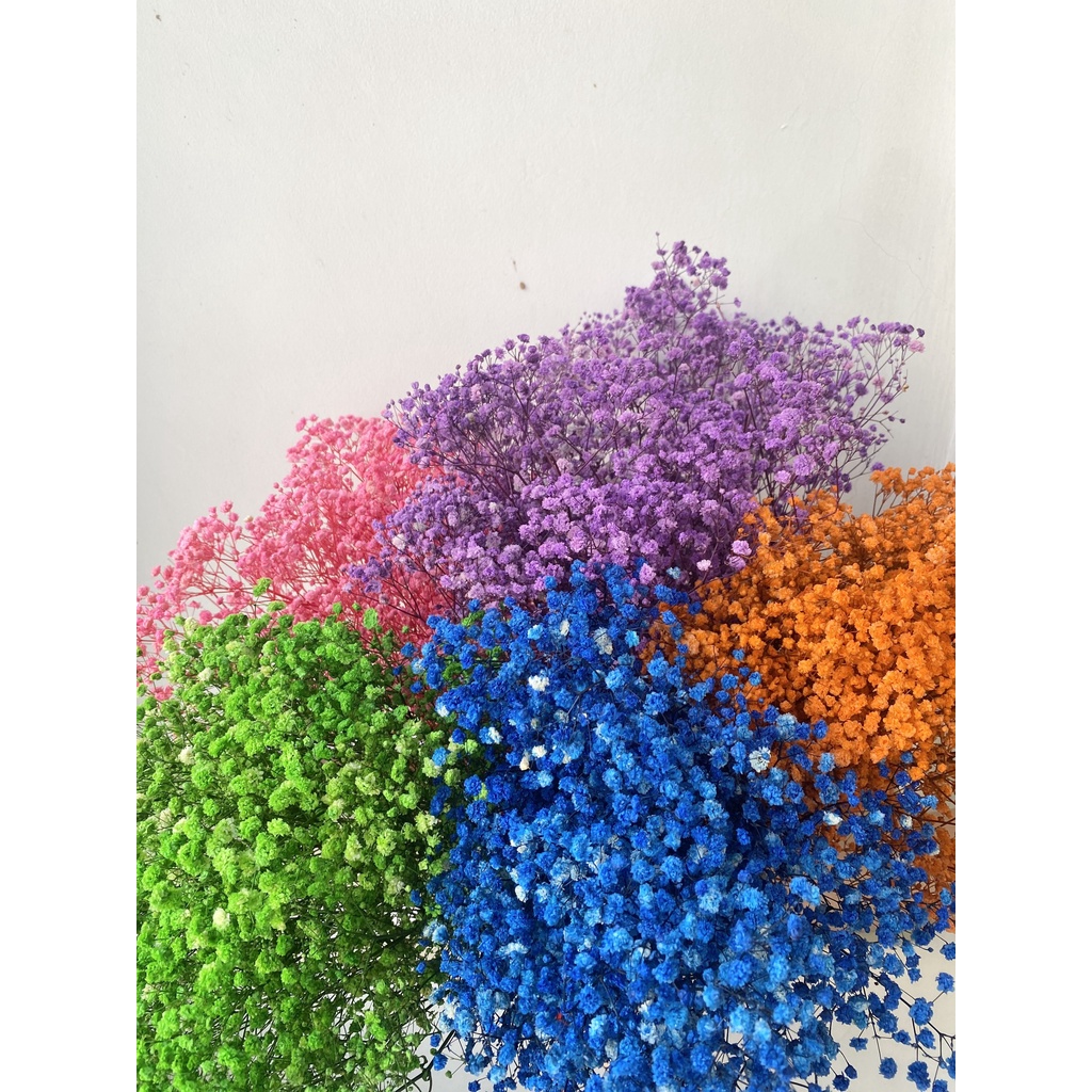 [HÌNH THẬT- HOA ĐẸP ] Hoa Baby khô ướp màu bó to 120gram  Hoa Khô Baby Gysophila trang trí decor phòng vintage