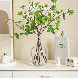 Bình thuỷ tình hình vỏ chai độc lạ Phanlee