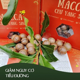 Hạt mắc ca Chư Yang Shin sấy lạnh