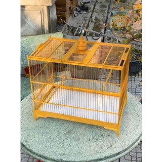 KHUNG LỒNG LỰC CHIM TỰ RÁP
