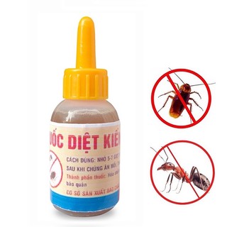 Dung dịch diệt kiến gián sinh học tận gốc