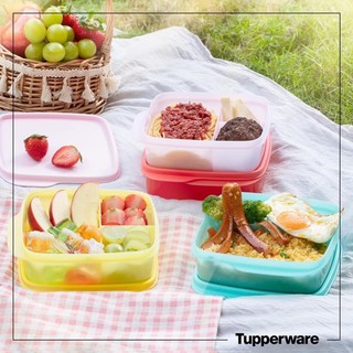 Bộ hộp cơm chia ngăn LOLLYTUP Tupperware
