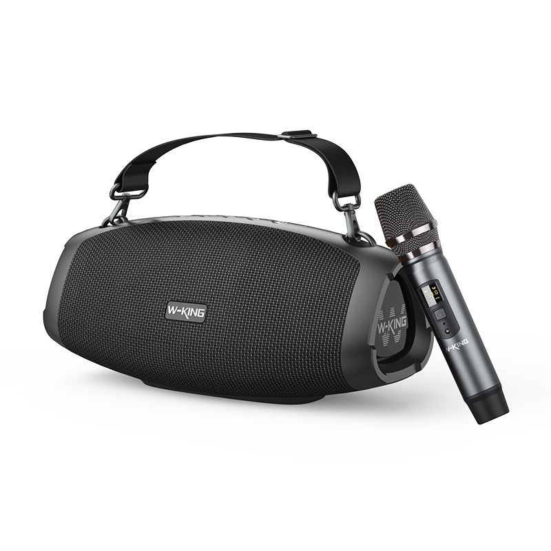 W-King D10 Plus, Công Suất 60W Kèm 1 Micro