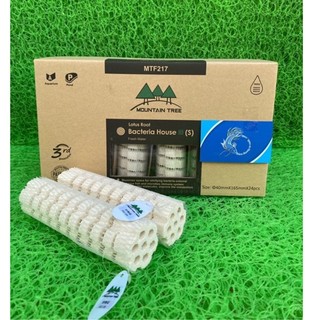 Sứ Củ Sen Moutain Tree Thế Hệ 3 Size Nhỏ (S) - Kích Thước 16cmx4cm Thùng 24 Thanh