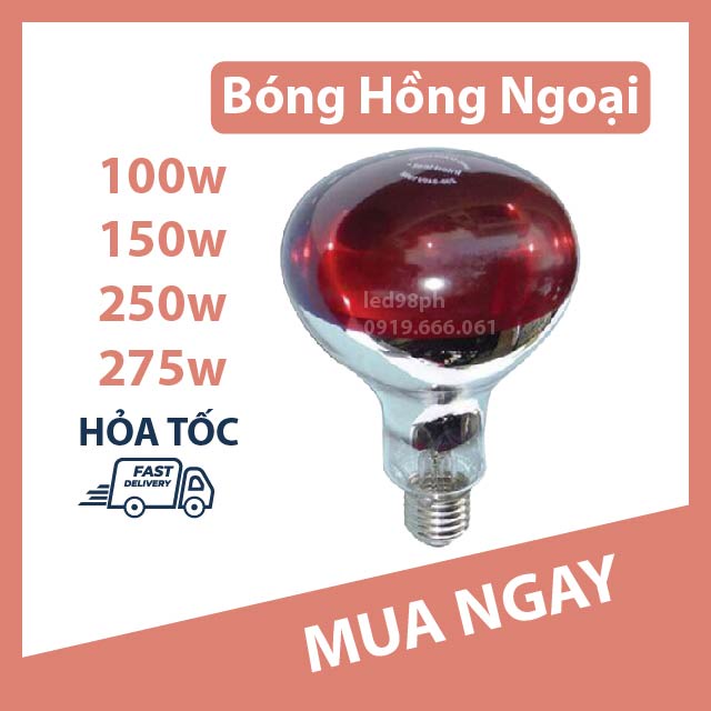 Bóng Úm Gà Hồng Ngoại 100w 150w 250w 275w Sưởi Gia Cầm, Sưởi Heo