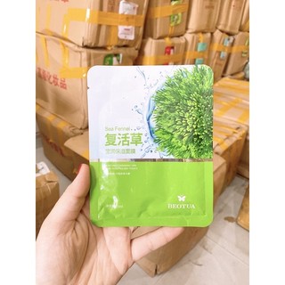 Mặt nạ Tảo Biển Seaweed Chống Lão Hóa Cấp Ẩm Phục Hồi Da- nhiều mẫu