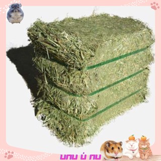 Cỏ Khô Dành Cho Thỏ Bọ Alfalfa 1Kg