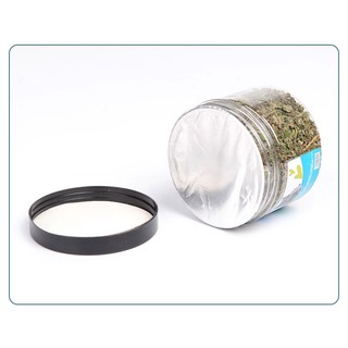 Cỏ Bạc Hà Catnip Cho Mèo