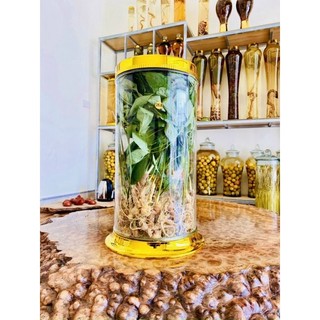 Sâm Lai Châu 10 củ 1kg có lá