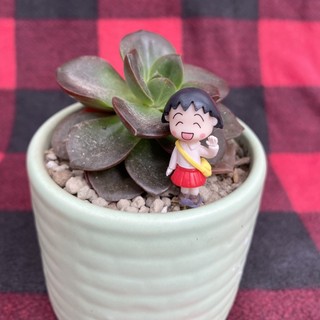 Phụ kiện trang trí tiểu cảnh: cô bé Maruko