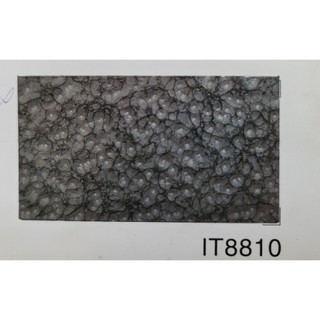 Sơn Vân Bông INTER