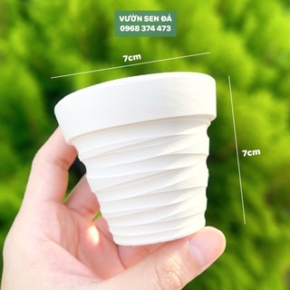 Chậu đất nung trồng sen đá