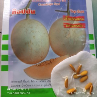 DƯA ĐỎ NỮ THẦN MẶT TRỜI (CANTALOUPE )