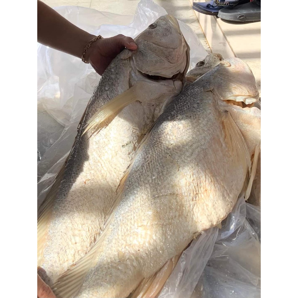 Khô mắm cá sửu- mắm cá sửu chưng cực ngon, cả nhà thích mê 500gr- Vựa Khô Minh Triết
