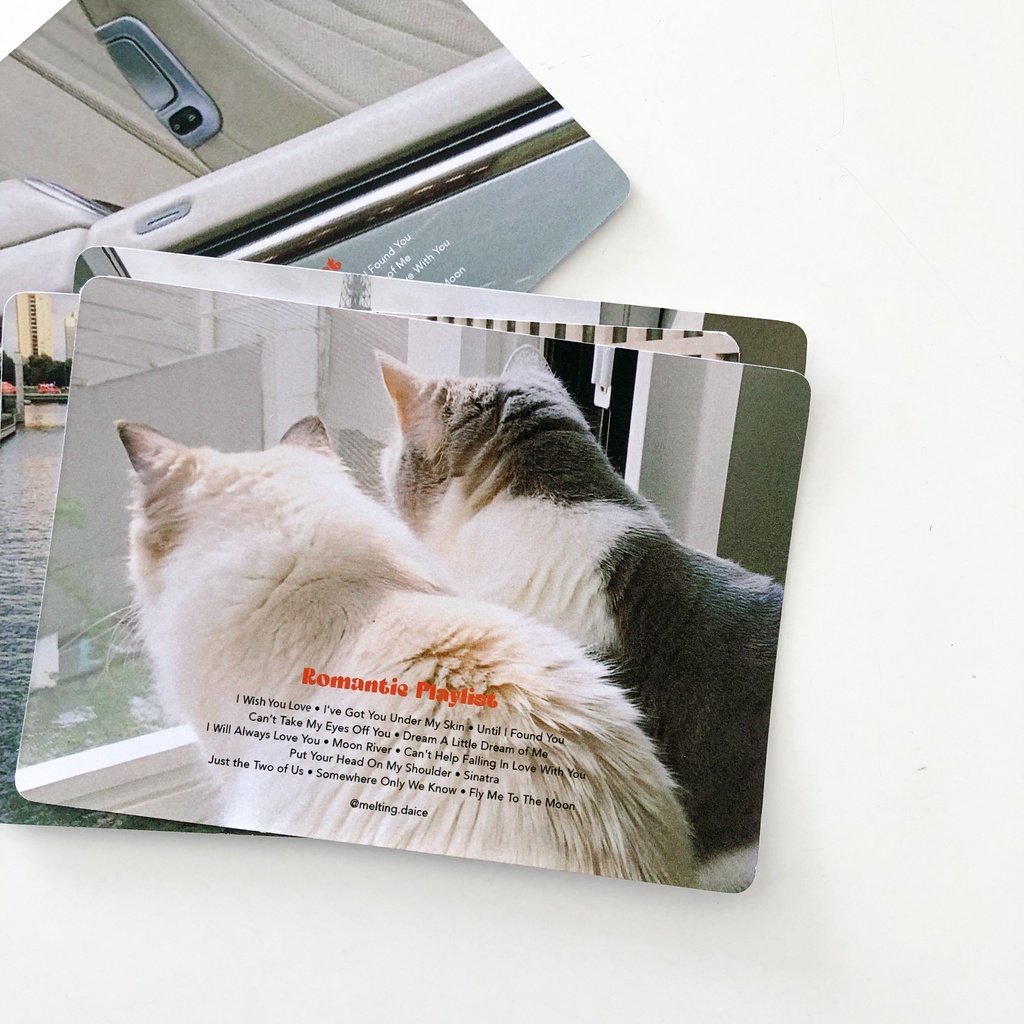 Daice || ‘romantic playlist’ - postcard trang trí