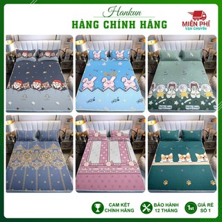 Chiếu điều hòa cao su non 5D NHẬP KHẨU Chiếu Tencel siêu êm mịn mát đủ kích thước M6/M8/2M2