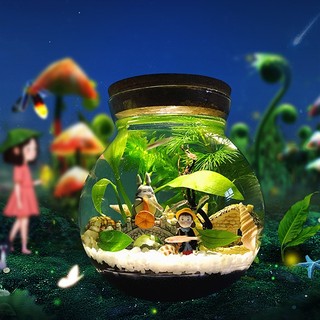 Lọ thủy tinh có đèn LED trang trí để bàn, bể cá mini, bể tiểu cảnh mini