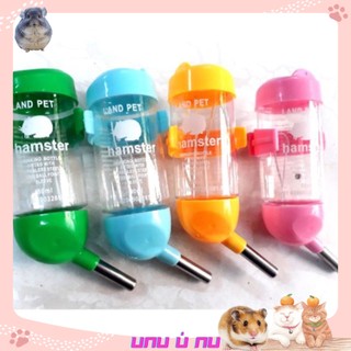 Bình Nước Bi Cho Hamster, Thỏ, Sóc, Nhím, Bọ 80Ml